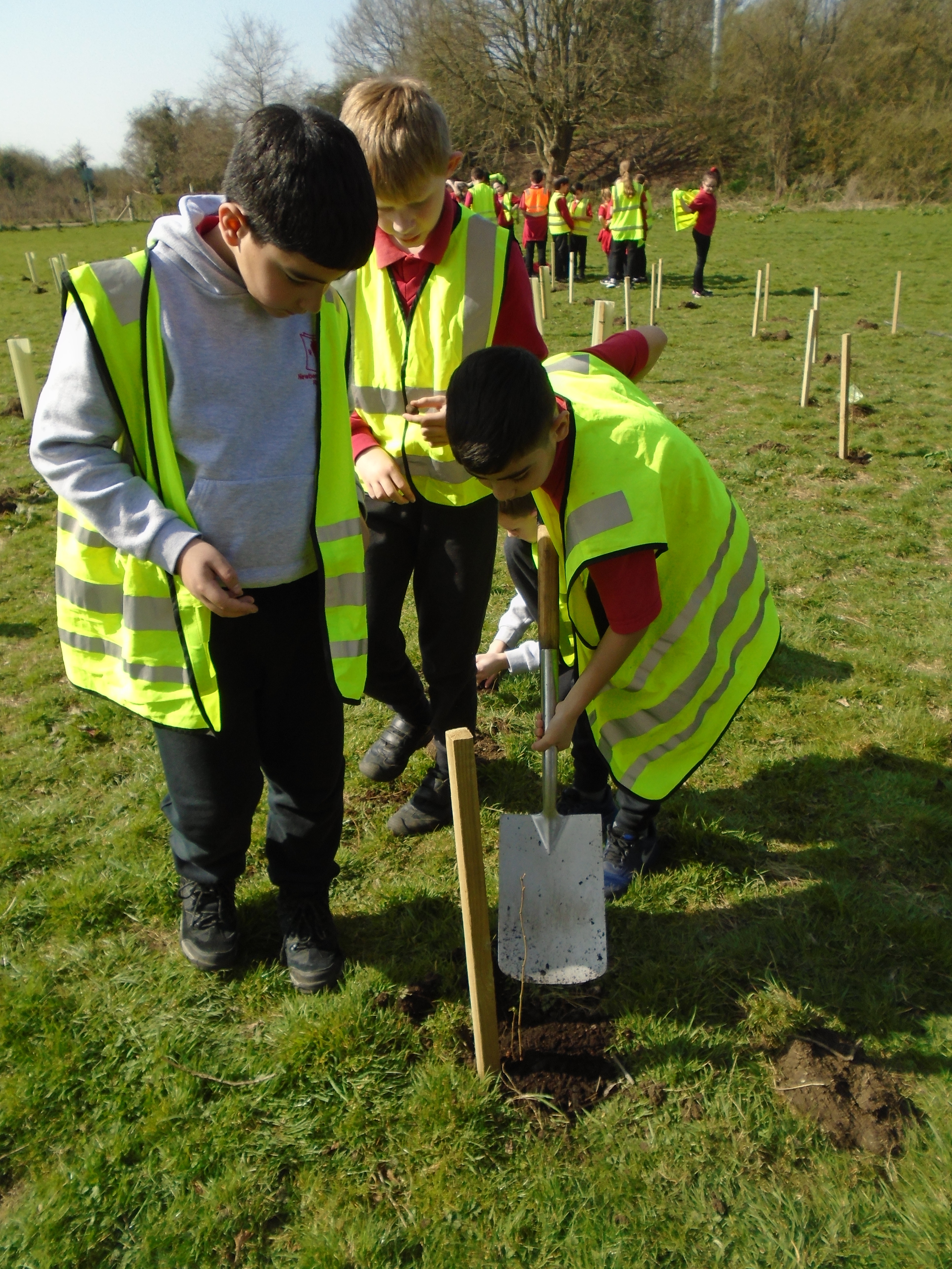 Children planting trees in the Picnic Field